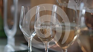 Glamorous and sophisticated glass of wine, bubbly, sparkling, wine glass, white wine Portugal