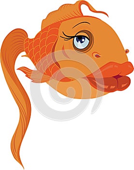 Glamour gold fish in love