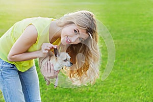 Glamour happy smiling girl or woman holding cute chihuahua puppy dog on green lawn on the sunset