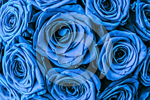 Glamour luxury bouquet of blue roses, flowers in bloom as floral holiday background