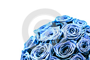 Glamour luxury bouquet of blue roses, flowers in bloom as floral holiday background