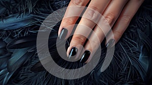 Glamour woman hand with luxury black color nail polish manicure on fingers, touching black feathers