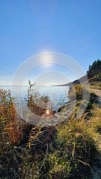 The glaring sun on the shores of the lagoon covered with tall grasses and other vegetation.