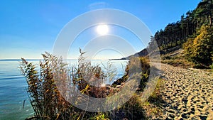 The glaring sun on the shores of the lagoon covered with tall grasses and other vegetation.