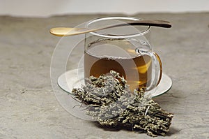 Glas of herbal tea with mugwort