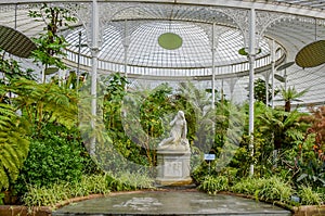 Glasgow Botanic Gardens, plants, garden, Scotland photo