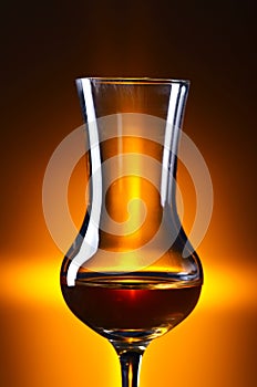 Glass of alcohol on a dark background