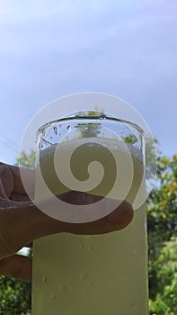 Glass of aloe vera drink