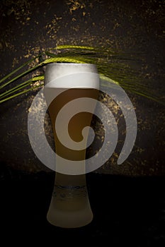 Glass of aromatic beer on a dark background