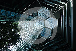 In A Glass Atrium photo