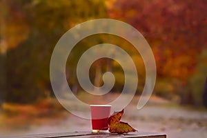 Glass and autumn leaf on a bench in autumn park