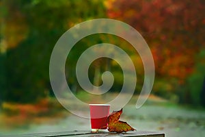 Glass and autumn leaf on a bench in autumn park