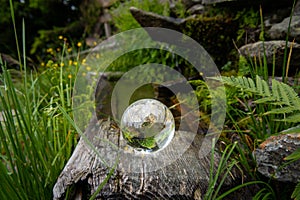 Glass ball lying on an old trough