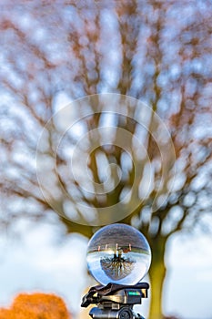 Glass ball pictures in nature with tree