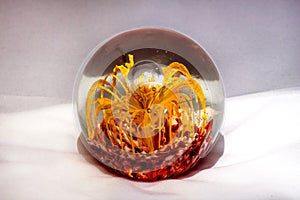 Glass ball