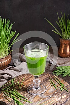 A glass of barleygrass juice with freshly harvested barley grass