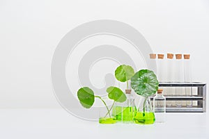 A glass beaker containing water and Centella asiatica decorated with erlenmeyer flask and round podium