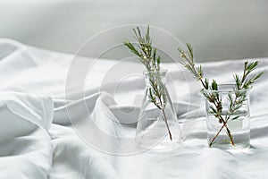 Glass beaker and flask with herbal plant on white fabric with window natural light for cosmetic science research background