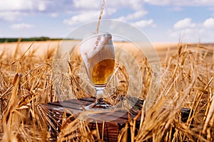 Glass of beer against wheat field