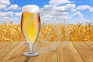 Glass of beer against wheat field