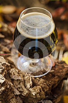 Glass of beer in autumn forest