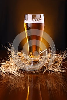 Glass of beer with barley ears