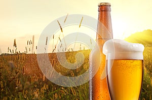 Glass of beer and bottle against wheat field