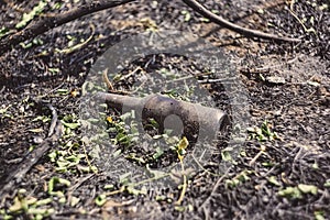 Glass beer bottle lies on the scorched ground