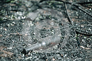 Beer bottle lies on the scorched ground