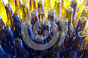 Glass beer bottles dusted in yellow-blue lighting, top view