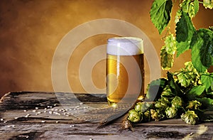 Glass of beer, hop cones, ears of barley