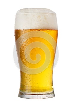 Glass of beer isolated on white background