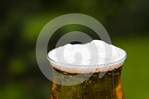 Glass Beer or Lager,in the Restaurant photo