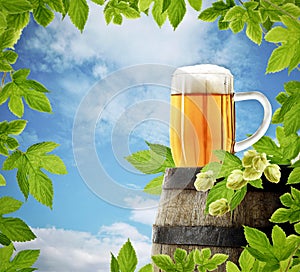 Glass of beer on old barrel and hops border