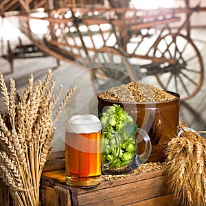 glass of beer and raw material for beer production