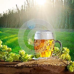 Glass of beer and raw material for beer production