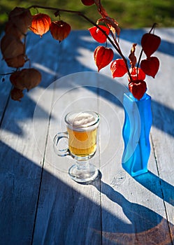 Glass beer on wood background. physalis