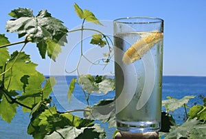 Glass with beverage