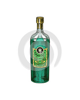 Glass Bottle of Absinthe. Label for retro poster. Engraved hand drawn vintage sketch. Woodcut style