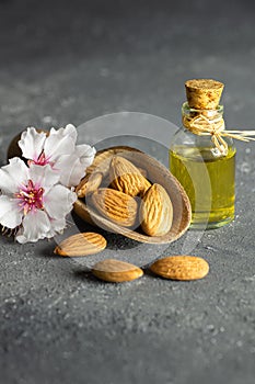 Glass bottle of Almond oil and almond nuts , almonds with almond tree flowers on table