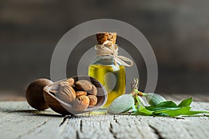 Glass bottle of Almond oil and almond nuts in wooden shovel with green fresh raw almonds on wooden table
