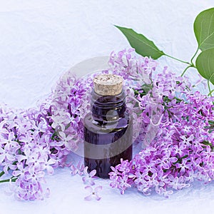 Glass bottle with aromatic oil and lilac flowers for Spa and aromatherapy. Selective focus