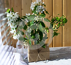 Glass bottle with blossoming branches of cherry