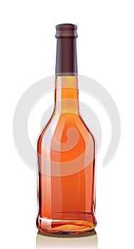 Glass Bottle for Cognac or Brandy