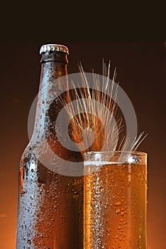 Glass and bottle of cold beer