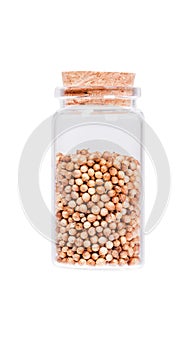 In a glass bottle with cork stopper, isolated on white.