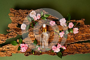 Glass bottle of cosmetic oil on green background with natural bark, wood and small roses. Skin care, organic body treatment, spa