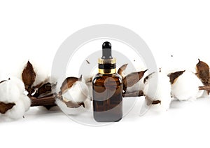 Glass bottle for cosmetic products with a branch of cotton flowers on a white background. Spa care concept