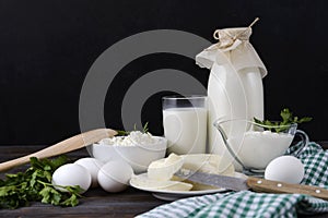 Cow`s milk, cottage cheese in a plate, sour cream in a gravy boat, soft cheese, sprigs of parsley on a dark background, white egg