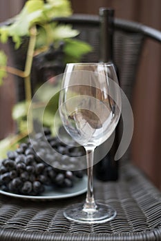 Glass and bottle of dark red wine and grapes on a dark background